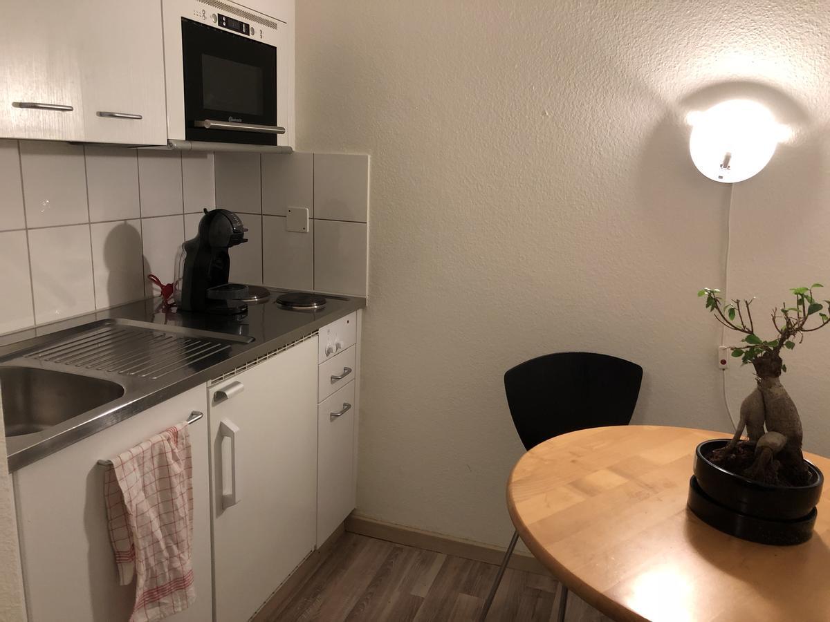 Rosa Apartment Zuerich City מראה חיצוני תמונה